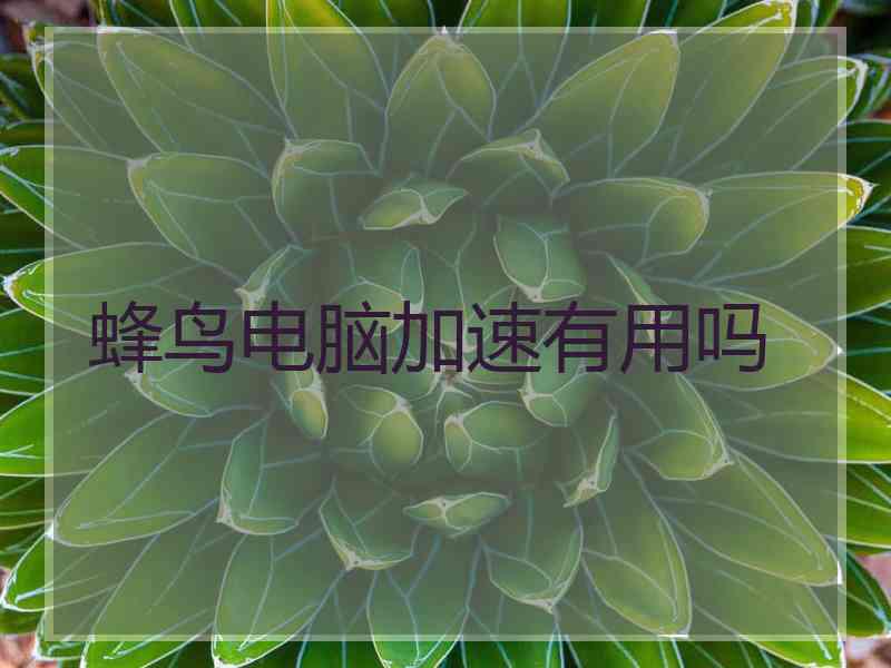 蜂鸟电脑加速有用吗