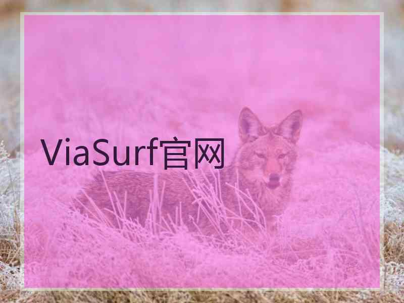 ViaSurf官网